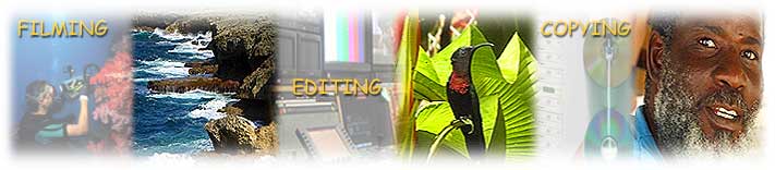 MDDM for all your filming, editing and duplicating requirements